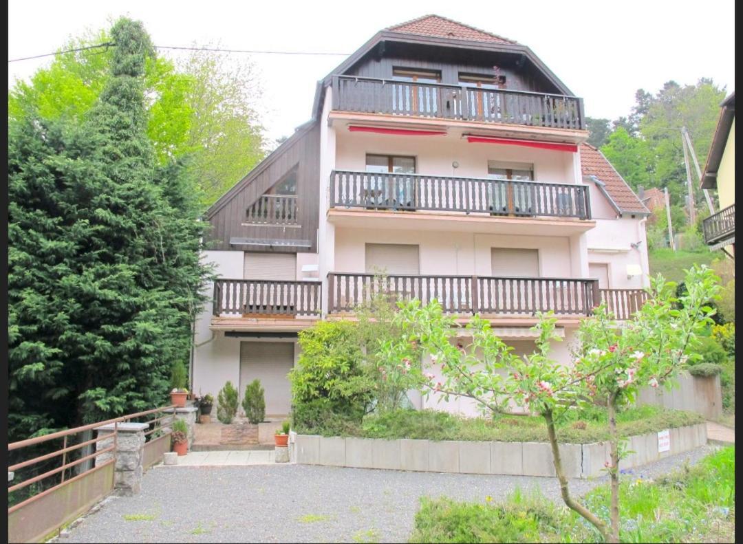 Apartament Studio Le Manet Le Hohwald Zewnętrze zdjęcie