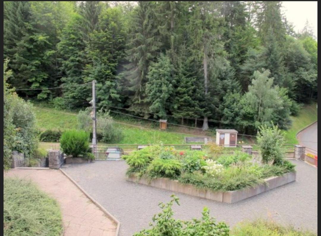 Apartament Studio Le Manet Le Hohwald Zewnętrze zdjęcie